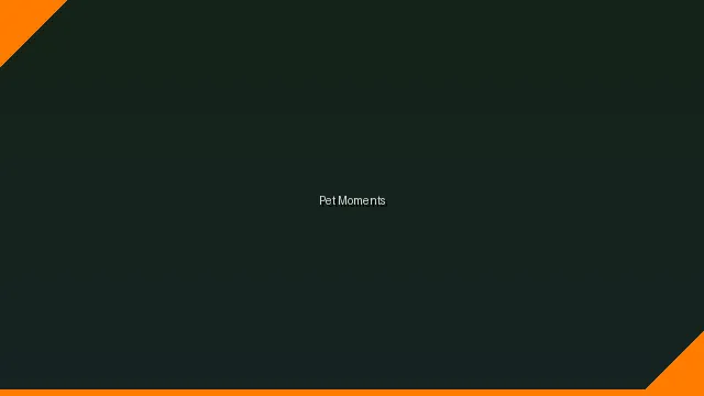 萌宠时刻主题赛 - manbetx万博体育网址 UGC视频竞赛